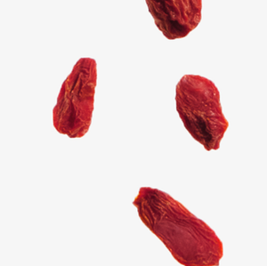 Goji Berry